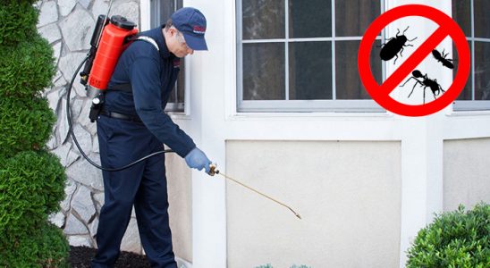 Akyazı Fare İlaçlama böcek ilaçlama ve haşere kontrolü — ilaclama-tr.com